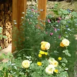 Bed & Breakfast Sous Le Tilleul, Chez Joelle Et Guy