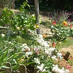 Sous Le Tilleul, Chez Joelle Et Guy Bed & Breakfast 3*