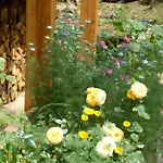 Sous Le Tilleul, Chez Joelle Et Guy Carsac-Aillac