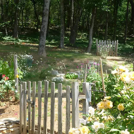 Sous Le Tilleul, Chez Joelle Et Guy Carsac-Aillac