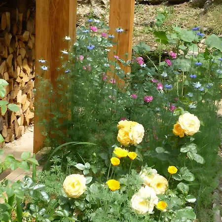 Sous Le Tilleul, Chez Joelle Et Guy Carsac-Aillac